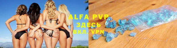 шишки Белокуриха