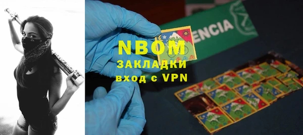 шишки Белокуриха