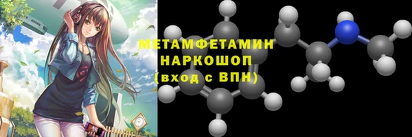 шишки Белокуриха