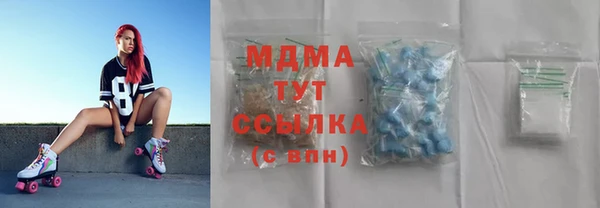 шишки Белокуриха