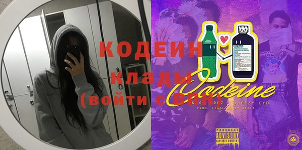 шишки Белокуриха