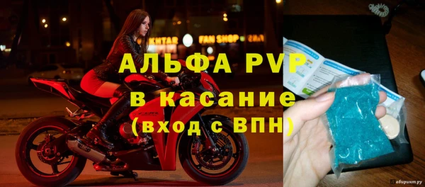 шишки Белокуриха