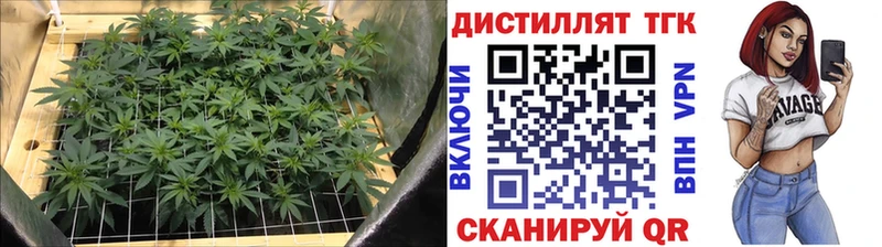 как найти закладки  Борисоглебск  Дистиллят ТГК концентрат 